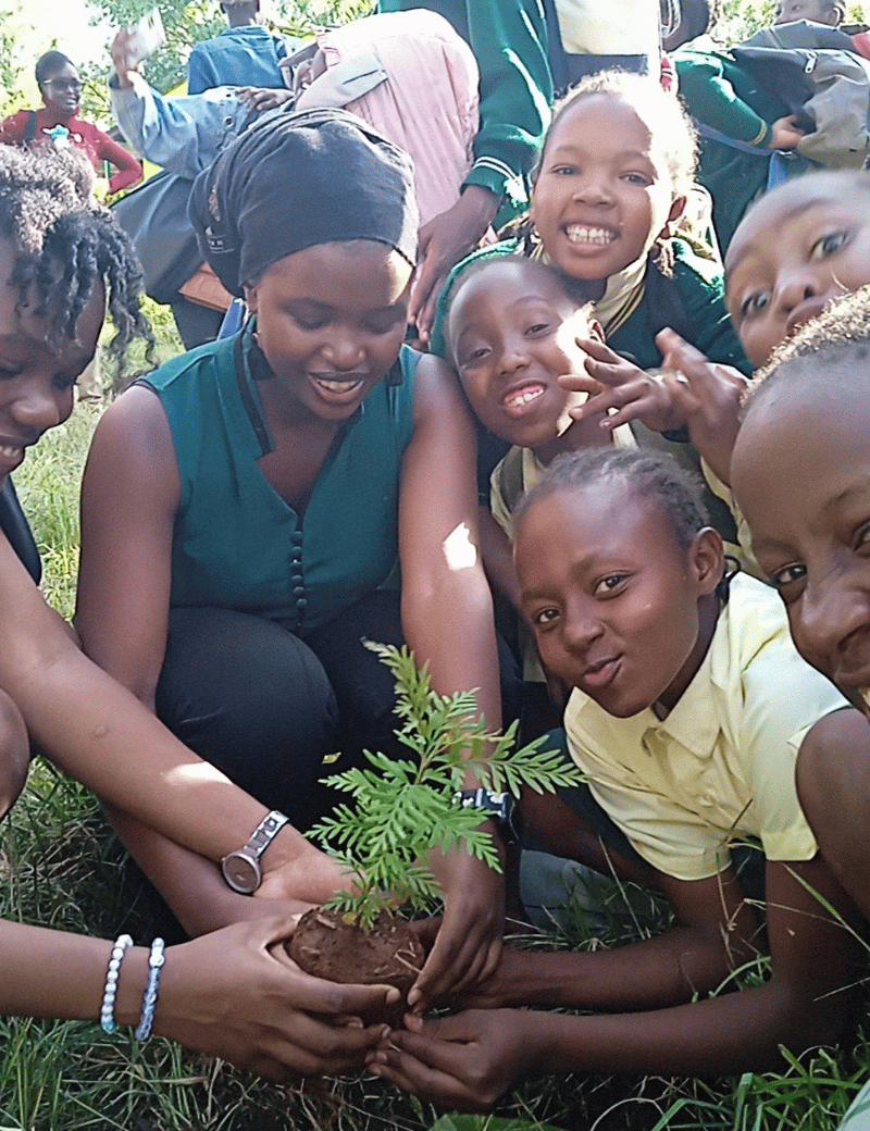 tree planting